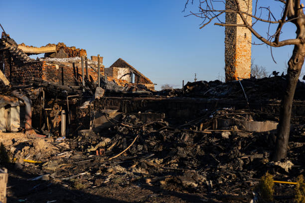 Reliable Fire Damage Repair contractor in Gainesville, FL by Fire Damage Doption