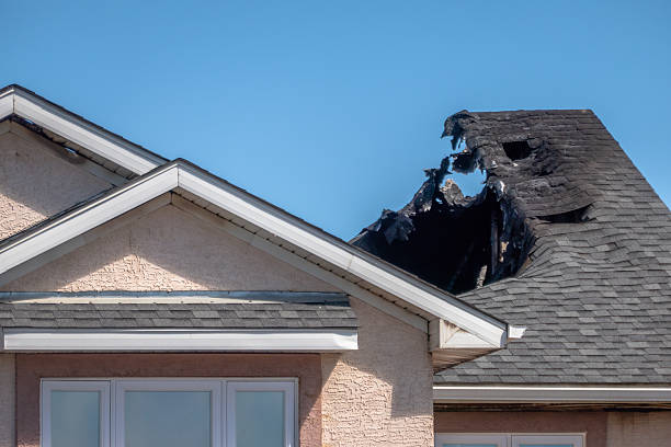 Top rated local Fire Damage Repair specialists in Gainesville, FL